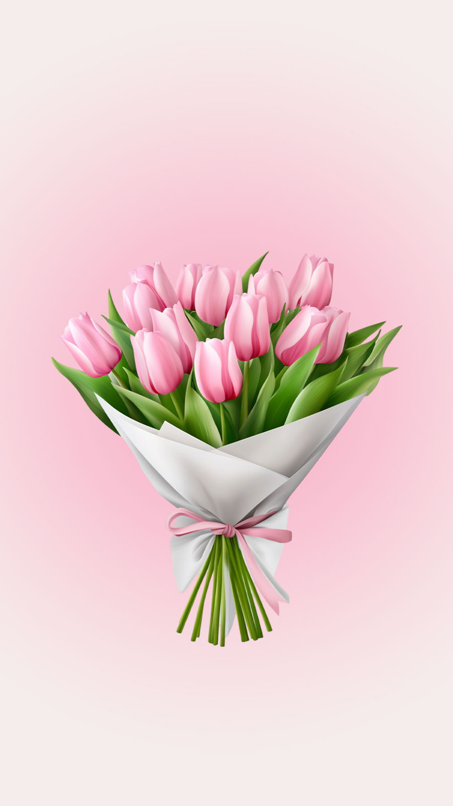 Bó hoa tulip hồng buộc nơ